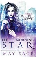 Little Morning Star