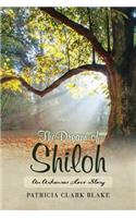 Dream of Shiloh