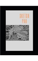 Sketch Pad