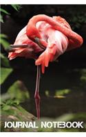 Journal Notebook: Flamingo Notebook for School and Work for Kids and Adults Animal Lovers College Ruled Lined Paper Journal 6 x 9