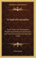 On Euplectella Aspergillum