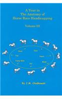 Year in The Anatomy of Horse Race Handicapping Volume III
