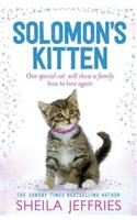 Solomon's Kitten