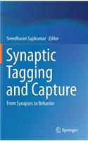 Synaptic Tagging and Capture