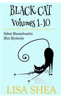 Black Cat Vols. 1-10 - The Salem Massachusetts Mini Mysteries