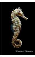 The Rare Seahorse Workbook of Affirmations the Rare Seahorse Workbook of Affirmations: Bullet Journal, Food Diary, Recipe Notebook, Planner, to Do List, Scrapbook, Academic Notepad
