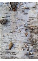 Old Birch Bark Journal: (Notebook, Diary, Blank Book)