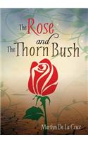 Rose and the Thorn Bush