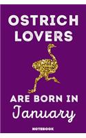 Ostrich Lovers Are Born In January