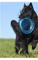 Belgian Shepherd Dog Groenendael Playing Catch Journal: Take Notes, Write Down Memories in this 150 Page Lined Journal