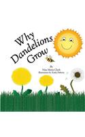 Why Dandelions Grow