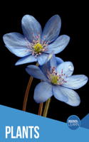 Plants: (Discover and Learn)