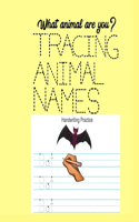 What Animal are You? Tracing Animal Names