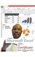 Microsoft Excel STEP 1, With Certificate