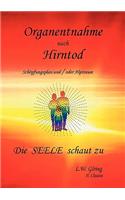 Organentnahme nach Hirntod