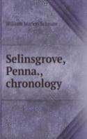 Selinsgrove Penna