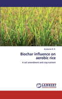 Biochar influence on aerobic rice