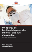 aperçu de l'épidémiologie et des indices - une vue d'ensemble