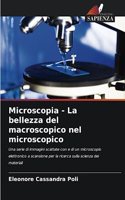 Microscopia - La bellezza del macroscopico nel microscopico