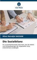 Sozialbilanz