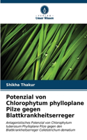 Potenzial von Chlorophytum phylloplane Pilze gegen Blattkrankheitserreger