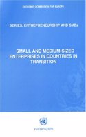 Small and Medium-sized Enterprises in Countries in Transition