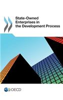 State-owned enterprises in the development process