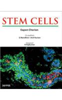 Stem Cells: (English)