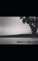 emo number one: a poetry collection(Collection Number Zero)