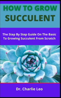 How To Grow Succulent