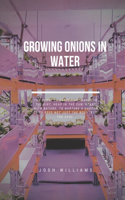 Growing Onions In Water: The Ultimate Beginners Guide to Building a Hydroponic System