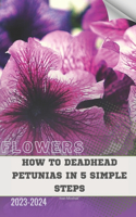 How to Deadhead Petunias in 5 Simple Steps: Become flowers expert