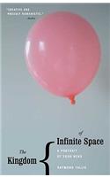 The Kingdom of Infinite Space: A Portrait of Your Head