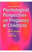 Psychological Perspectives on Pregnancy and Childbirth