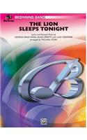 Lion Sleeps Tonight
