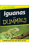 Iguanas for Dummies.