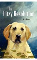 Fitzy Resolution