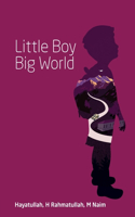 Little Boy Big World