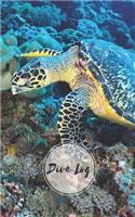 Dive Log