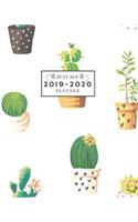 2019-2020