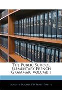 The Public School Elementary French Grammar, Volume 1