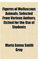 Figures of Molluscous Animals; Selected from Various Authors, Etched for the Use of Students
