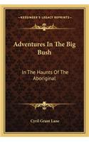 Adventures in the Big Bush