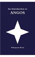 An Introduction to Angos