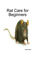 Rat Care for Beginners