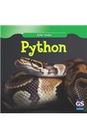 Python