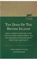 Dogs of the British Islands - Being a Series of Articles on the Points of their Various Breeds, and the Treatment of the Diseases to which they are Subject
