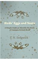 Birds' Eggs and Nests - A Simple Guide to Identify the Nests of Common British Birds