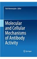 Molecular and Cellular Mechanisms of Antibody Activity
