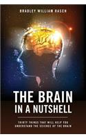 The Brain in a Nutshell